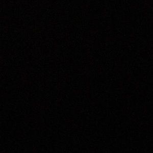 Meet your Posher, Domenica